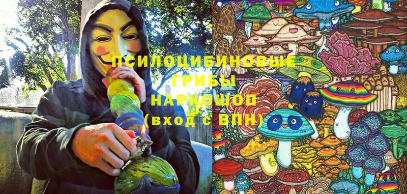 Псилоцибиновые грибы Cubensis  Лениногорск 